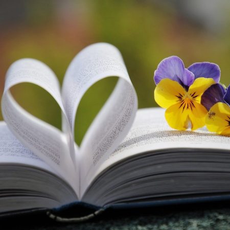 book, heart, pansies